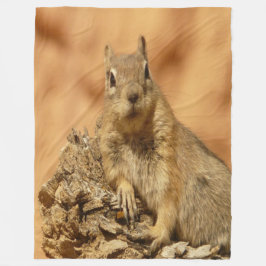 Cobertor De Velo Esquilo do ouro