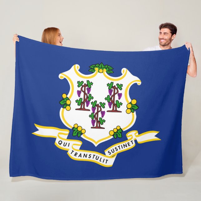 Cobertor De Velo Estado de bandeira do Connecticut (In Situ)
