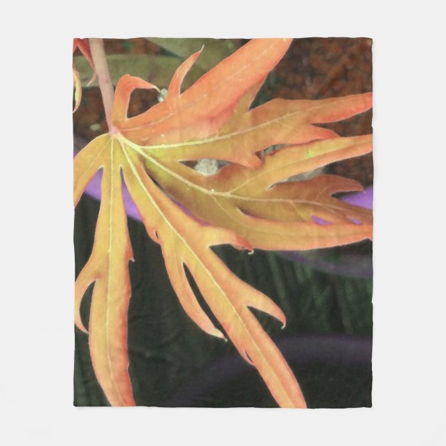 Cobertor De Velo Estudo de Folha 2 (Frente)