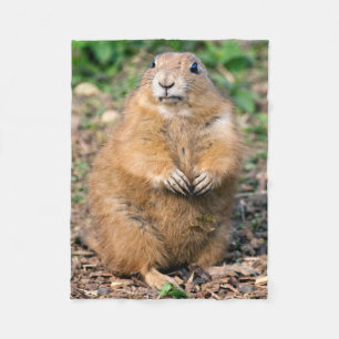 Cobertor De Velo Eu não sou gordo, mim sou cobertura peluches do