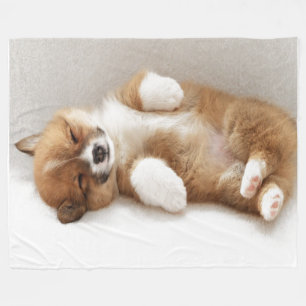 COBERTOR DE VELO EU SOU POOPED