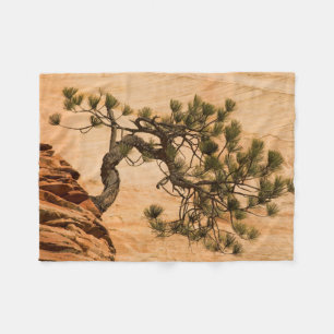 Cobertor De Velo EUA, Utah, Zion National Park. Pinheira