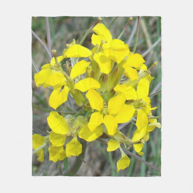 Cobertor De Velo F14 Flores Silvestres Amarelas (Frente)