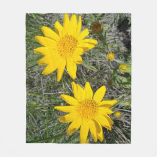 Cobertor De Velo F15 Flores Silvestres Amarelas Sneezeweed