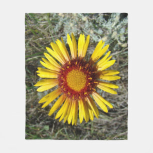 Cobertor De Velo F1 Flor Amarela Gaillardia