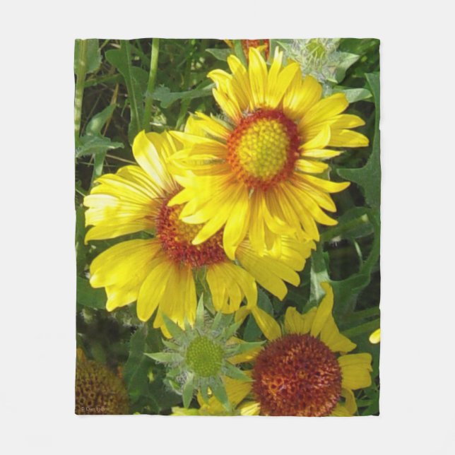 Cobertor De Velo F6 Amarelas Flores Silvestres Gaillardia (Frente)