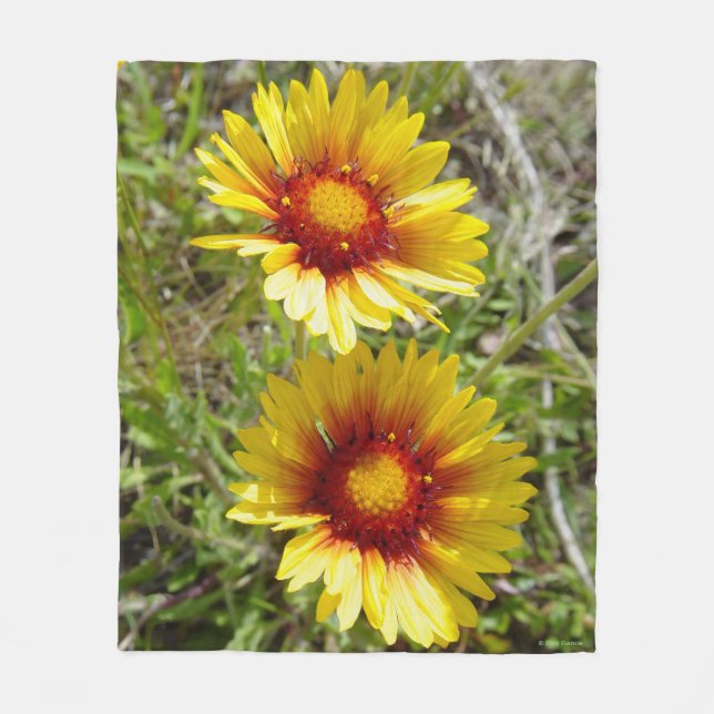 Cobertor De Velo F8 Amarelas Flores Silvestres Gaillardia (Frente)