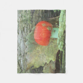 Cobertor De Velo Fabuloso Fungi