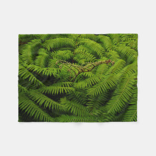 Cobertor De Velo Fern Leaves