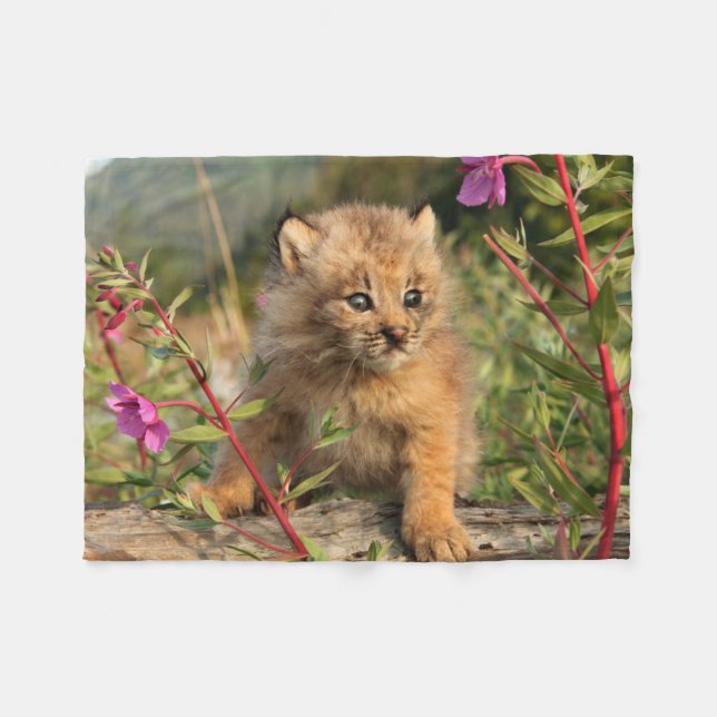 Cobertor De Velo Filhote de Lince Canadense, Alasca (Frente (Horizontal))