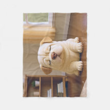 Filhote de Shar Pei - Serenidade Suave por WangWan