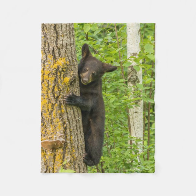 Cobertor De Velo Filhote de Urso Negro | Minnesota (Frente)