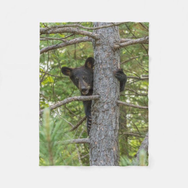 Cobertor De Velo Filhote de Urso Subindo Árvore (Frente)