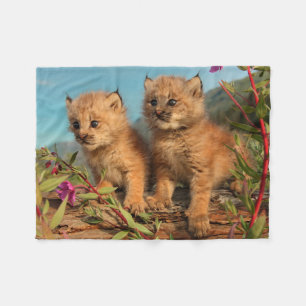 Cobertor De Velo Filhotes de Lince Canadense, Alasca