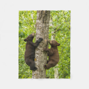 Cobertor De Velo Filhotes de Urso Negro Subindo Árvore
