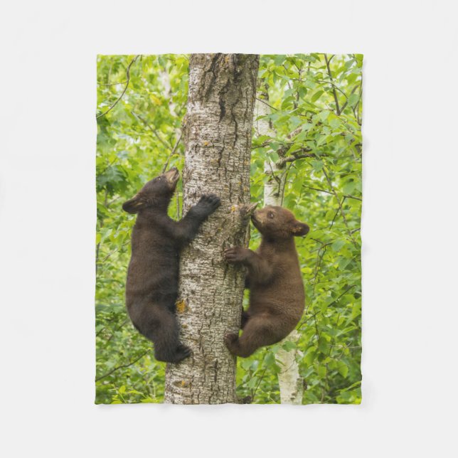 Cobertor De Velo Filhotes de Urso Negro Subindo Árvore (Frente)