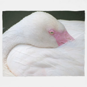 Cobertor De Velo Flamingo branco bonito