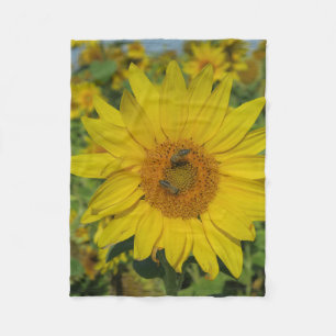Cobertor De Velo flor amarela do verão florescente
