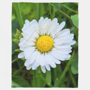 Cobertor De Velo Flor Silvestre Romênia – Fotografia Macro Botânica
