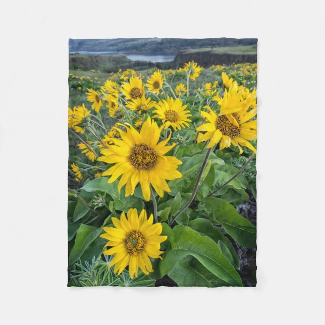 Cobertor De Velo Flores | Balsomroot Columbia River, Oregon (Frente)