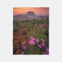 Flores | Chiang Dao, Chiang Mai, Tailândia