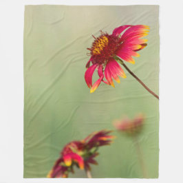 Cobertor De Velo Flores Cone começando a florescer