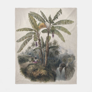 Cobertor De Velo Floresta Antiga de Bananeiras Tropicais   Bota Vin