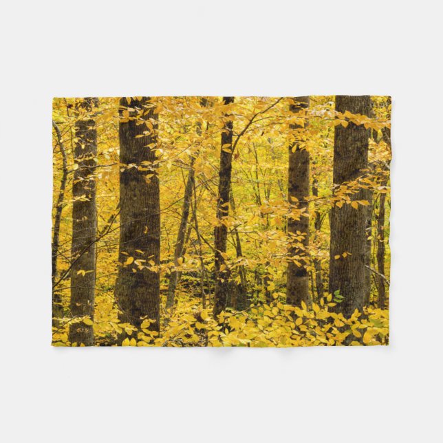 Cobertor De Velo Floresta Nacional de Fall Pisgah (Frente (Horizontal))