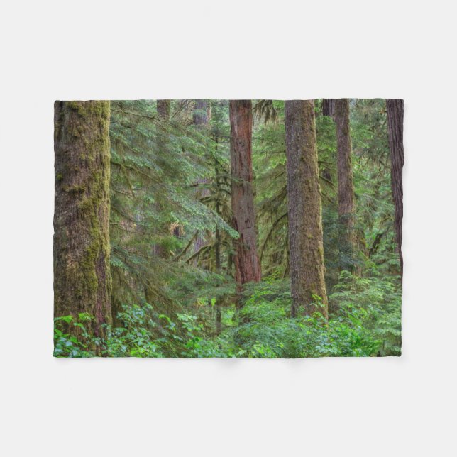 Cobertor De Velo Floresta Nacional de Willamette | Oregon (Frente (Horizontal))