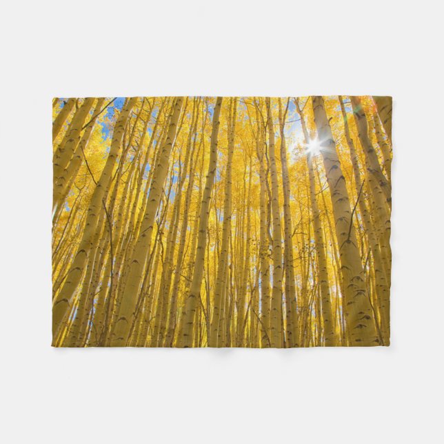 Cobertor De Velo Floresta Nacional do Rio Branco (Frente (Horizontal))