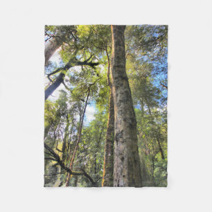 Cobertor De Velo Floresta Tropical Australiana Eucalyptus Gum Trees