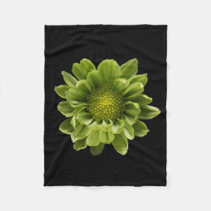 Cobertor De Velo Flowers Green Chrysanthemum