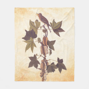 Cobertor De Velo Flycatcher Songbird de Audubon Traill