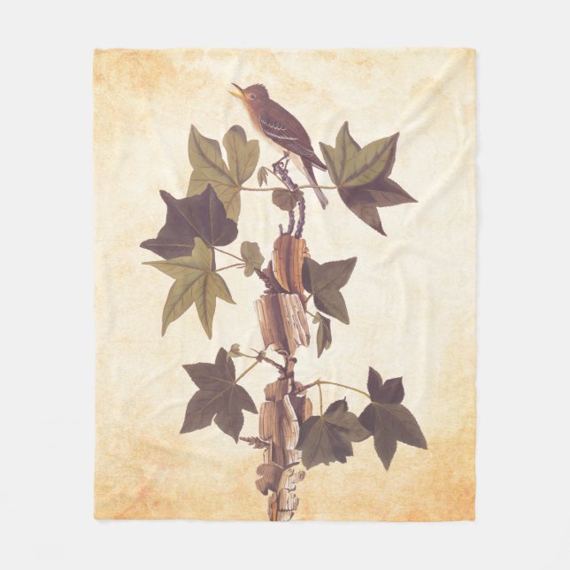 Cobertor De Velo Flycatcher Songbird de Audubon Traill (Frente)