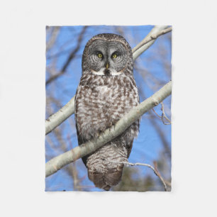 Cobertor De Velo Focado