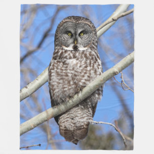 Cobertor De Velo Focalizado