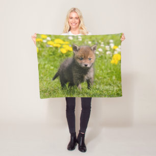 Cobertor De Velo Fofo Floffy Red Fox Cub Animais Selvagens Bebê Fot