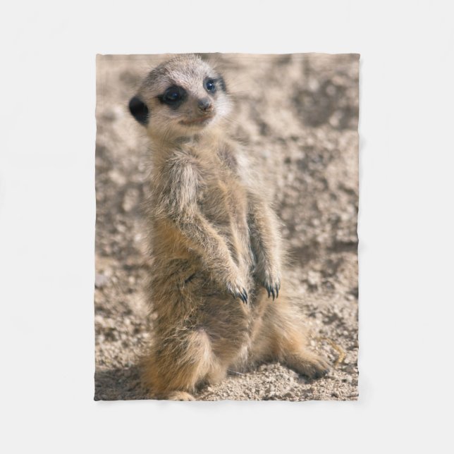 Cobertor De Velo Folha de bordo em treinamento (Frente)