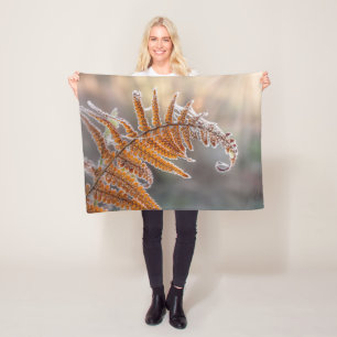 Cobertor De Velo Folha de Fern com gelo gelado numa natureza fria d