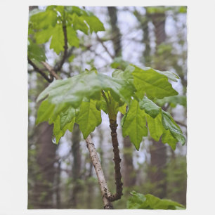 Cobertor De Velo Folhas da Floresta Após Chuva – Natureza Selvagem