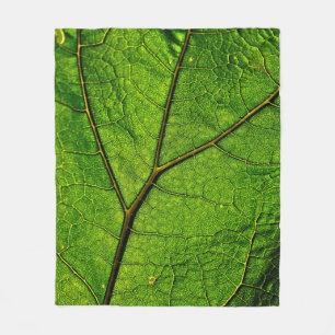 Cobertor De Velo Folhas de borboleta verde