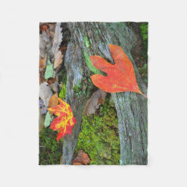Cobertor De Velo Folhas de outono
