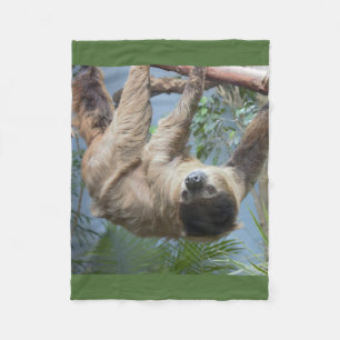 Cobertor De Velo Foto da preguiça