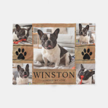 Foto de Lembrança Personalizada de Cachorro