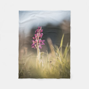Cobertor De Velo Foto de Orquídea Selvagem na Natureza