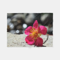 Fotografia da Flor Rosa Misteriosa