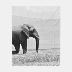 COBERTOR DE VELO FOTOGRAFIA GRAYSCALE DE ELEPHANT