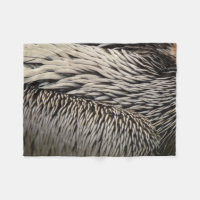 Fotografia Pelican Feather Abstrato Nature