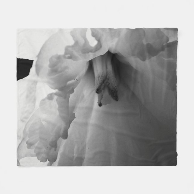 Cobertor De Velo Fotografia Preta e Branca do Daffodil (Frente (Horizontal))