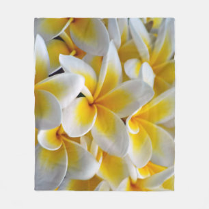 Cobertor De Velo Frangipani Plumeria Flower Photo